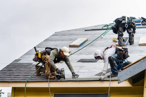 Professional Gutter Installation technician working in Sunnyvale, TX